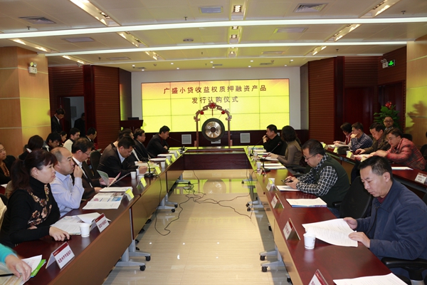 小贷公司收入(2)